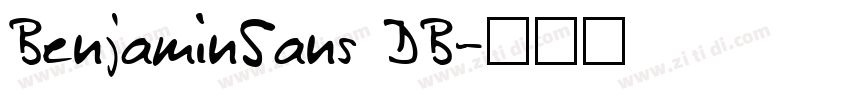 BenjaminSans DB字体转换